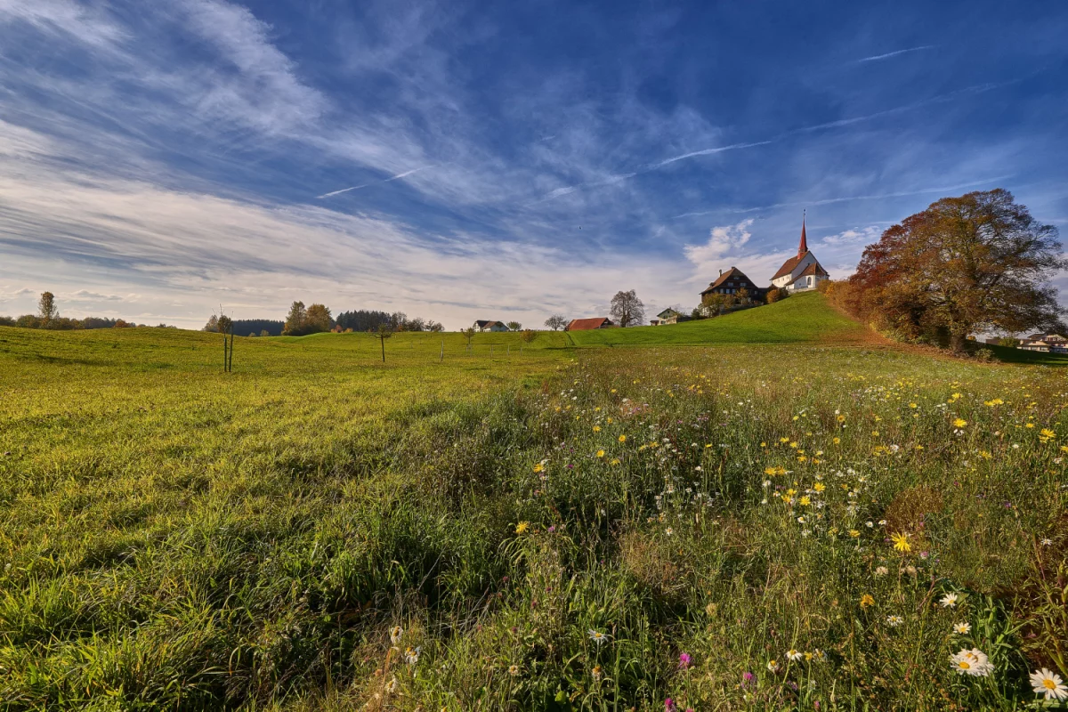 Najlepsze domki nad Bałtykiem: jak wybrać lokalizację, ceny i atrakcje w 2026—Top 10 kierunków i praktyczna checklista dla rodzin oraz par